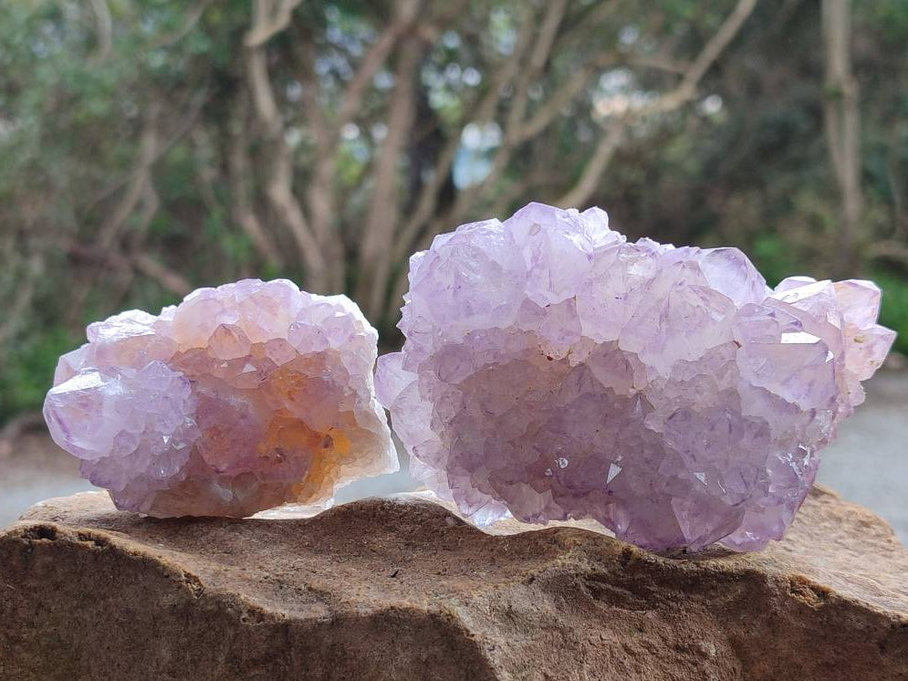 Natural Sunburst Amethyst Spirit Quartz Clusters x 6 From Boekenhouthoek, South Africa - Toprock Gemstones and Minerals 