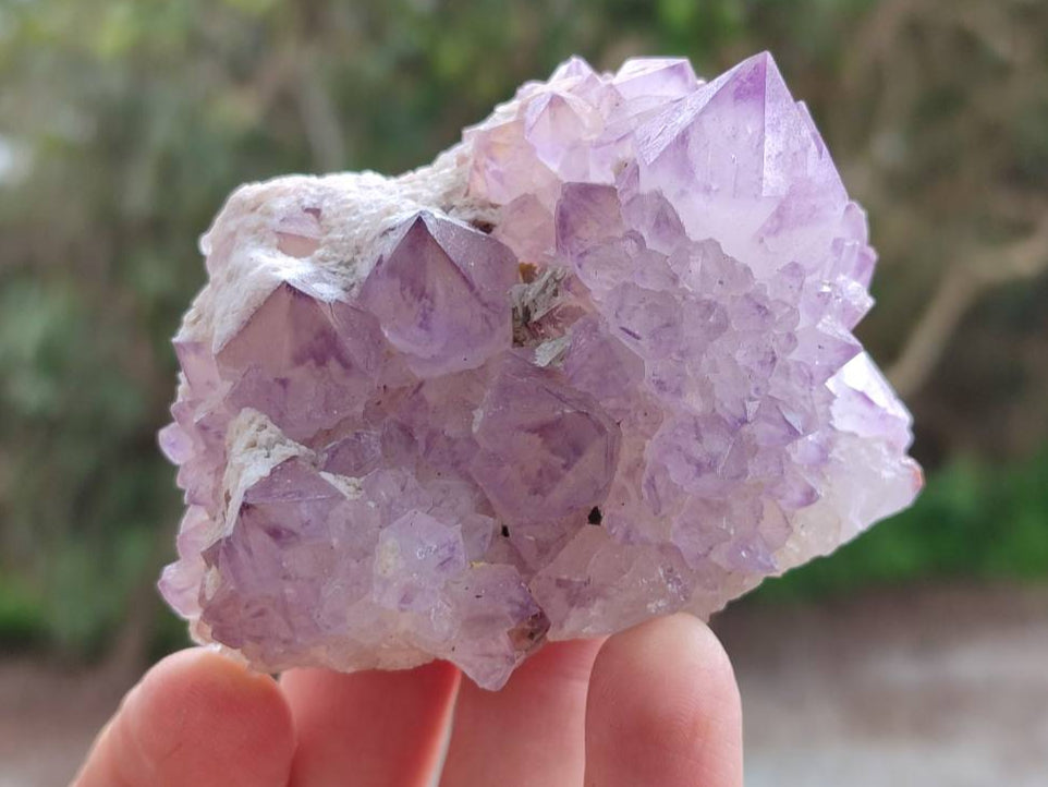 Natural Sunburst Amethyst Spirit Quartz Clusters x 6 From Boekenhouthoek, South Africa - Toprock Gemstones and Minerals 