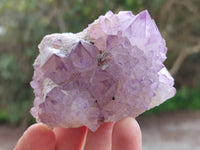 Natural Sunburst Amethyst Spirit Quartz Clusters x 6 From Boekenhouthoek, South Africa