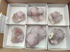 Natural Sunburst Amethyst Spirit Quartz Clusters x 6 From Boekenhouthoek, South Africa - Toprock Gemstones and Minerals 
