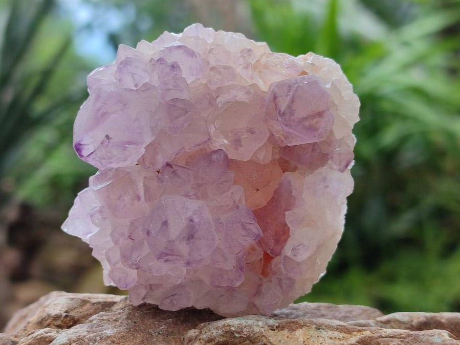 Natural Sunburst Amethyst Spirit Quartz Clusters x 6 From Boekenhouthoek, South Africa - Toprock Gemstones and Minerals 