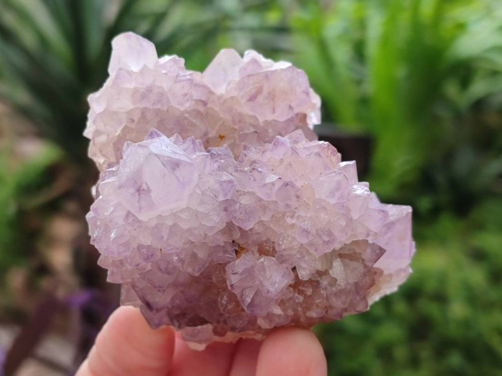 Natural Sunburst Amethyst Spirit Quartz Clusters x 6 From Boekenhouthoek, South Africa - Toprock Gemstones and Minerals 