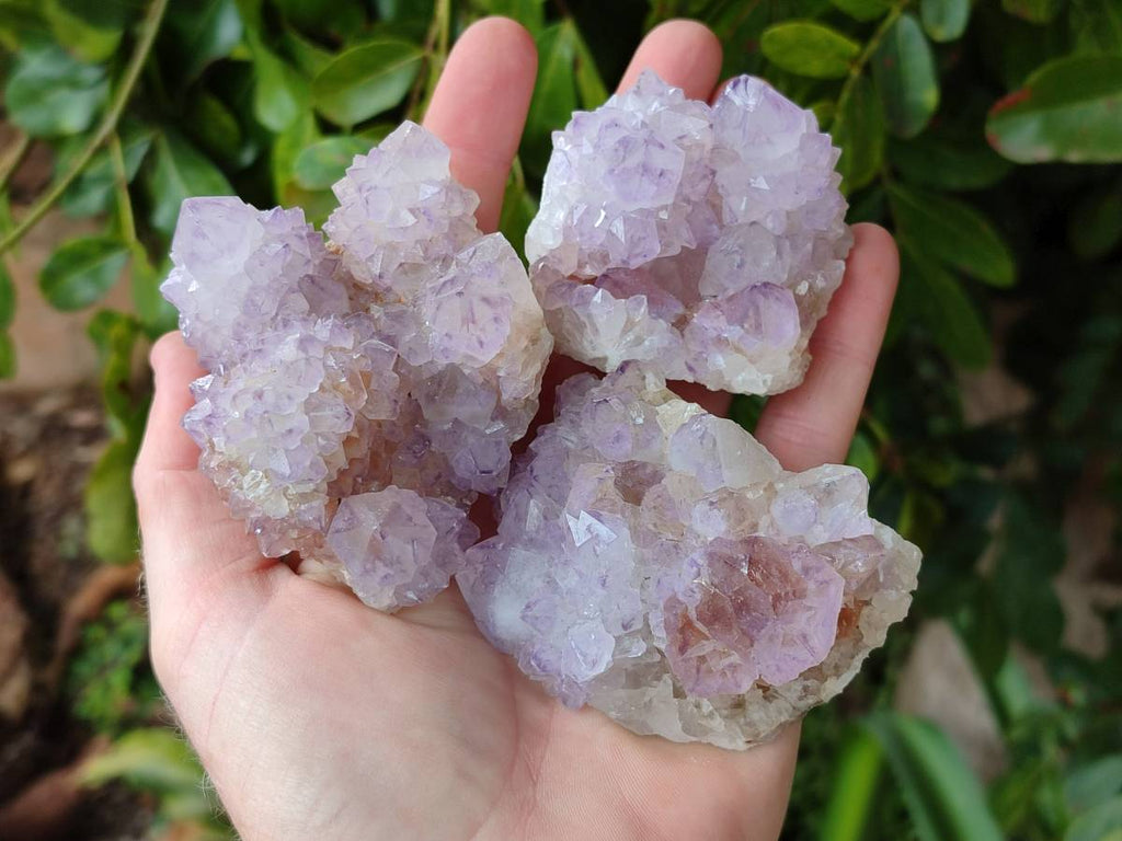 Natural Sunburst Amethyst Spirit Quartz Clusters x 6 From Boekenhouthoek, South Africa - Toprock Gemstones and Minerals 
