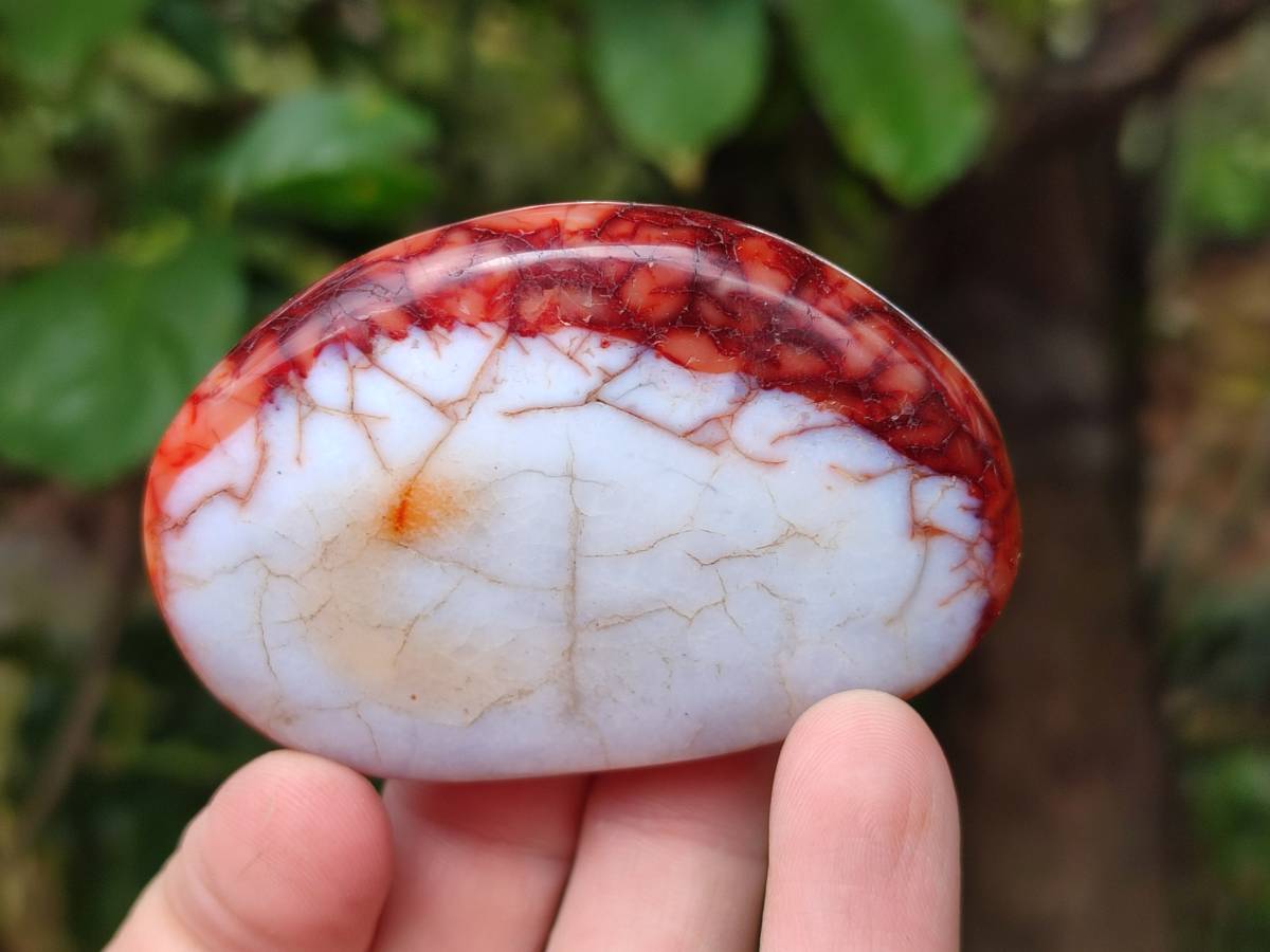 Polished Carnelian Agate Gemstone Galets x 20 From Madagascar - Toprock Gemstones and Minerals 