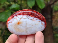 Polished Carnelian Agate Gemstone Galets x 20 From Madagascar