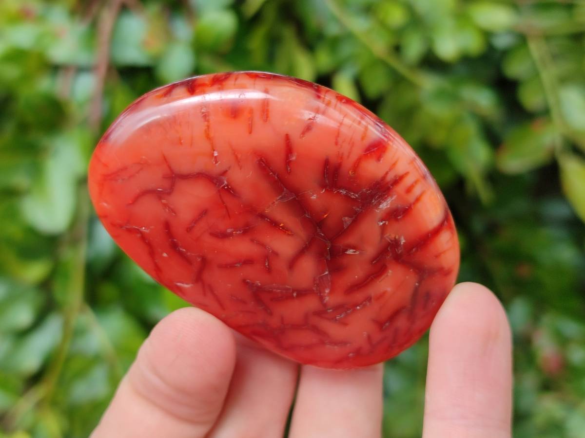 Polished Carnelian Agate Gemstone Galets x 20 From Madagascar - Toprock Gemstones and Minerals 
