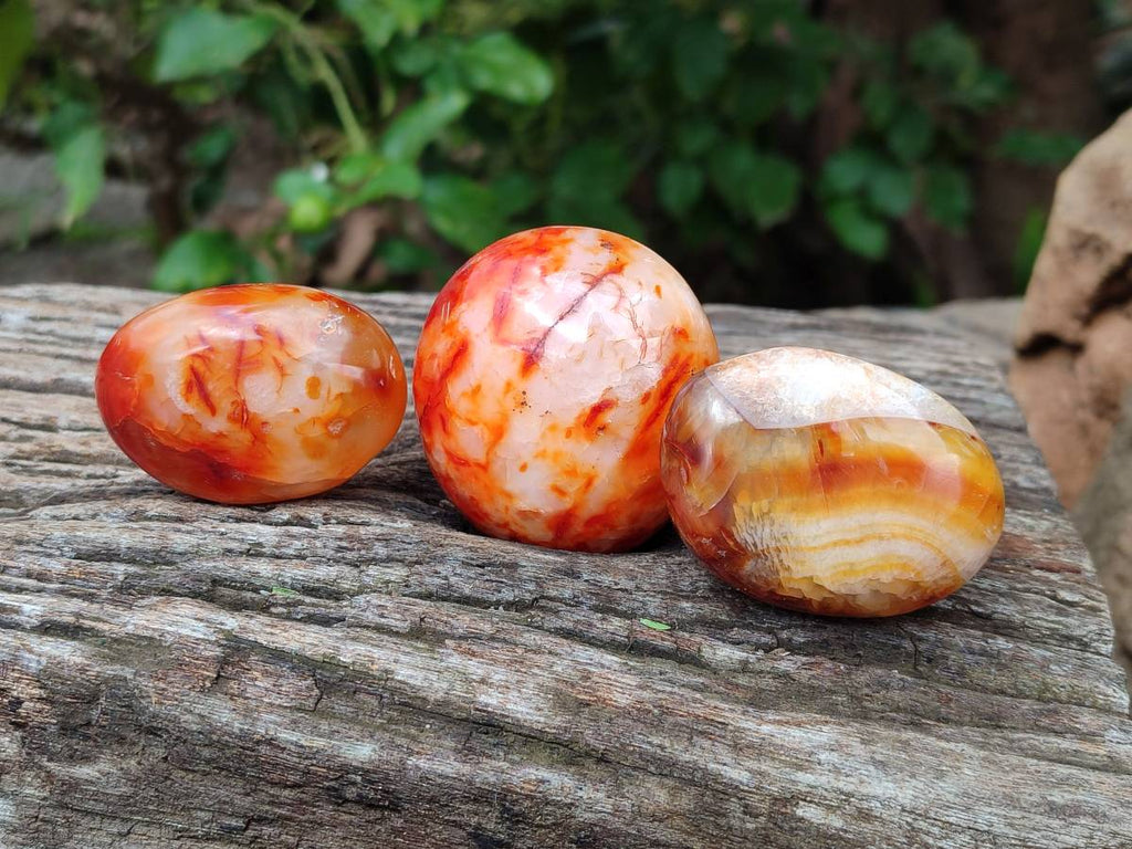 Polished Carnelian Agate Gemstone Galets x 20 From Madagascar - Toprock Gemstones and Minerals 