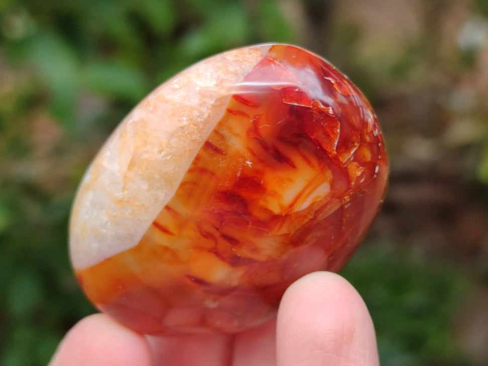 Polished Carnelian Agate Gemstone Galets x 20 From Madagascar - Toprock Gemstones and Minerals 