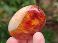 Polished Carnelian Agate Gemstone Galets x 20 From Madagascar