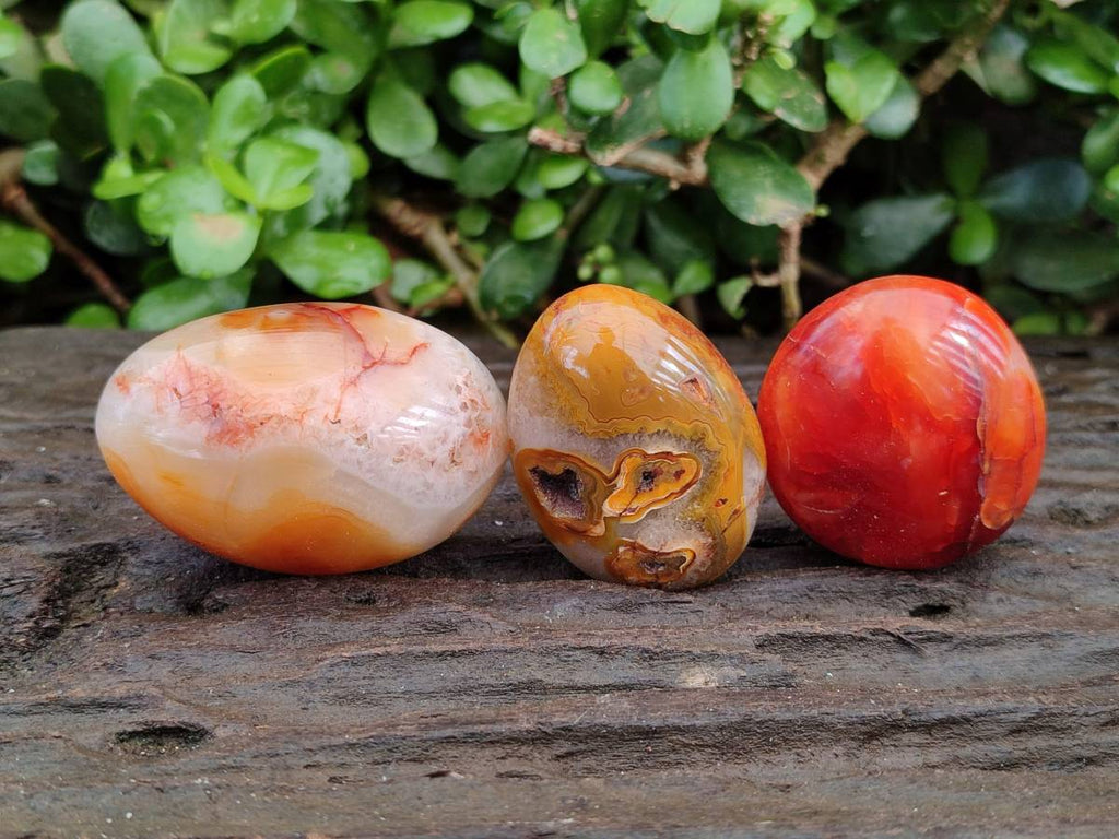 Polished Carnelian Agate Gemstone Galets x 20 From Madagascar - Toprock Gemstones and Minerals 
