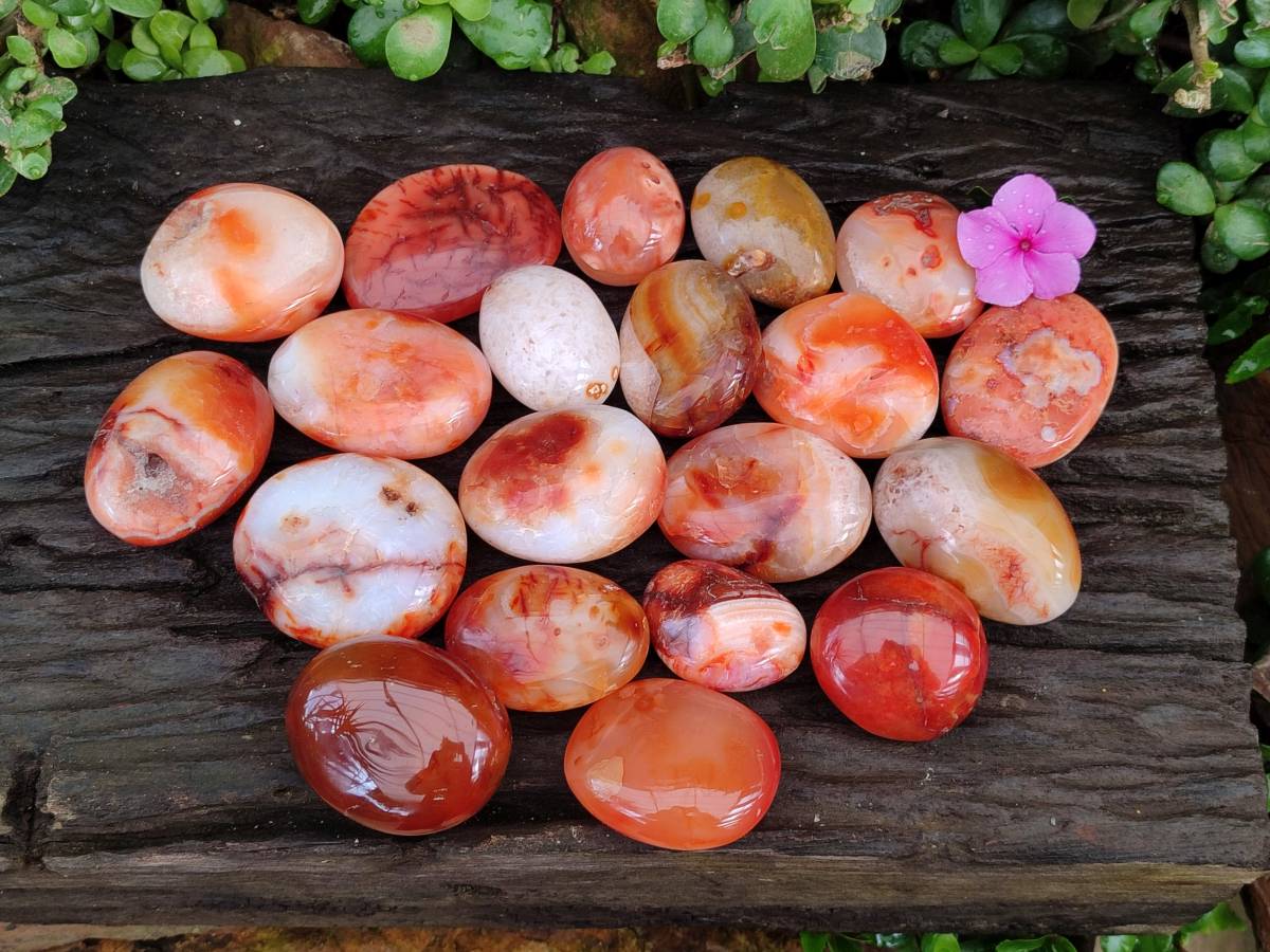 Polished Carnelian Agate Gemstone Galets x 20 From Madagascar - Toprock Gemstones and Minerals 