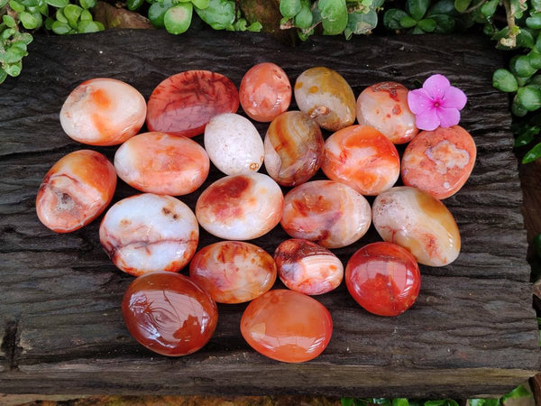 Polished Carnelian Agate Gemstone Galets x 20 From Madagascar