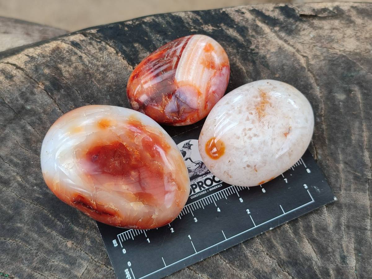Polished Carnelian Agate Gemstone Galets x 20 From Madagascar - Toprock Gemstones and Minerals 