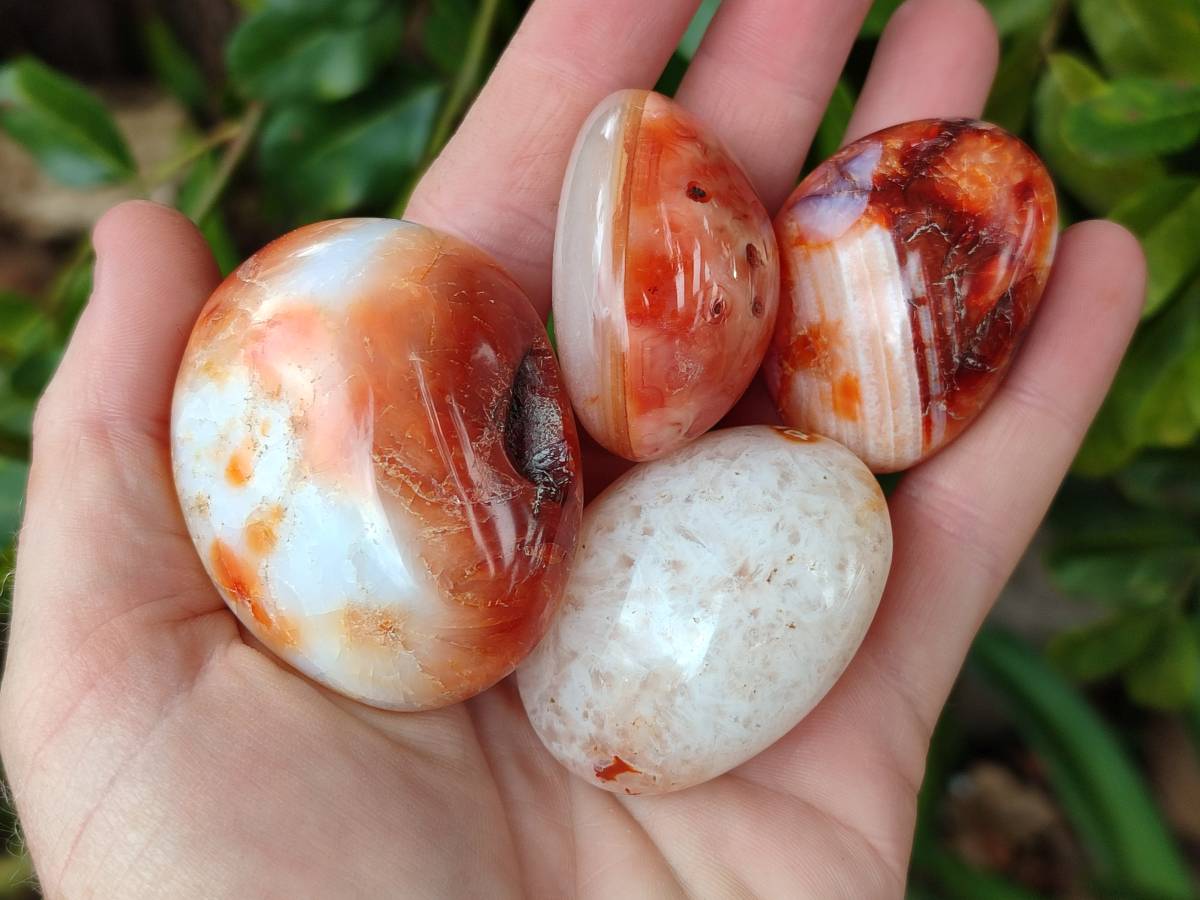 Polished Carnelian Agate Gemstone Galets x 20 From Madagascar - Toprock Gemstones and Minerals 