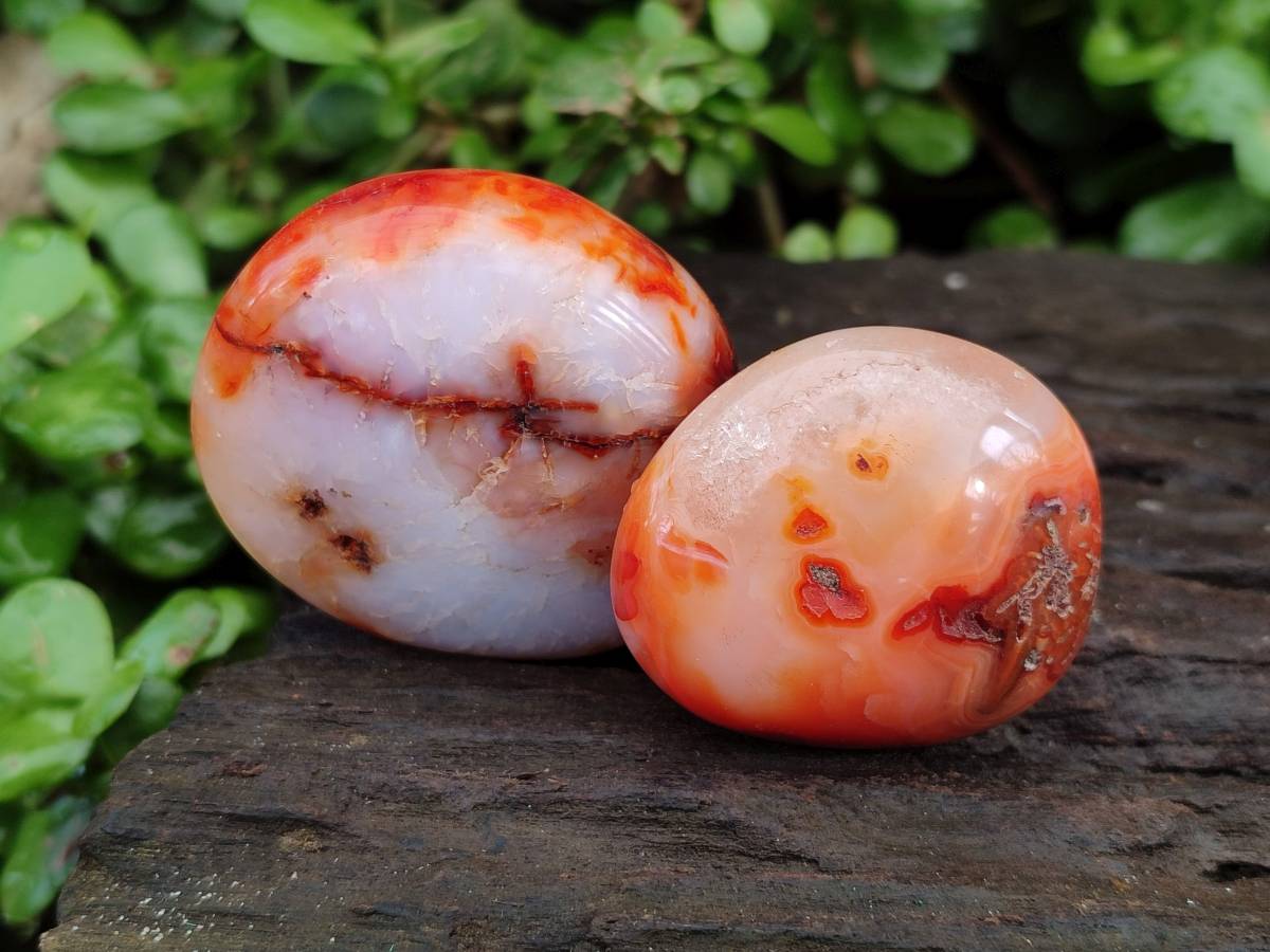 Polished Carnelian Agate Gemstone Galets x 20 From Madagascar - Toprock Gemstones and Minerals 