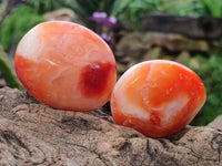 Polished Carnelian Agate Gemstone Galets x 20 From Madagascar
