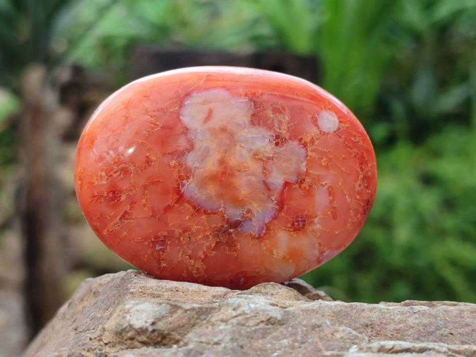 Polished Carnelian Agate Gemstone Galets x 20 From Madagascar - Toprock Gemstones and Minerals 