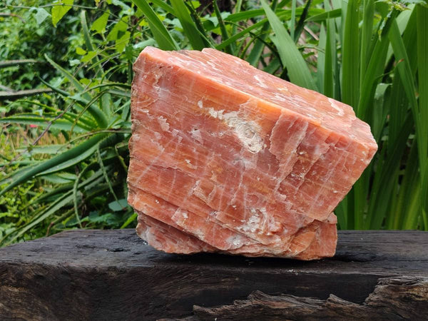 Natural Sunset Orange Calcite Specimen x 1 From Spitzkop, Namibia