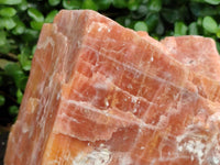 Natural Sunset Orange Calcite Specimen x 1 From Spitzkop, Namibia
