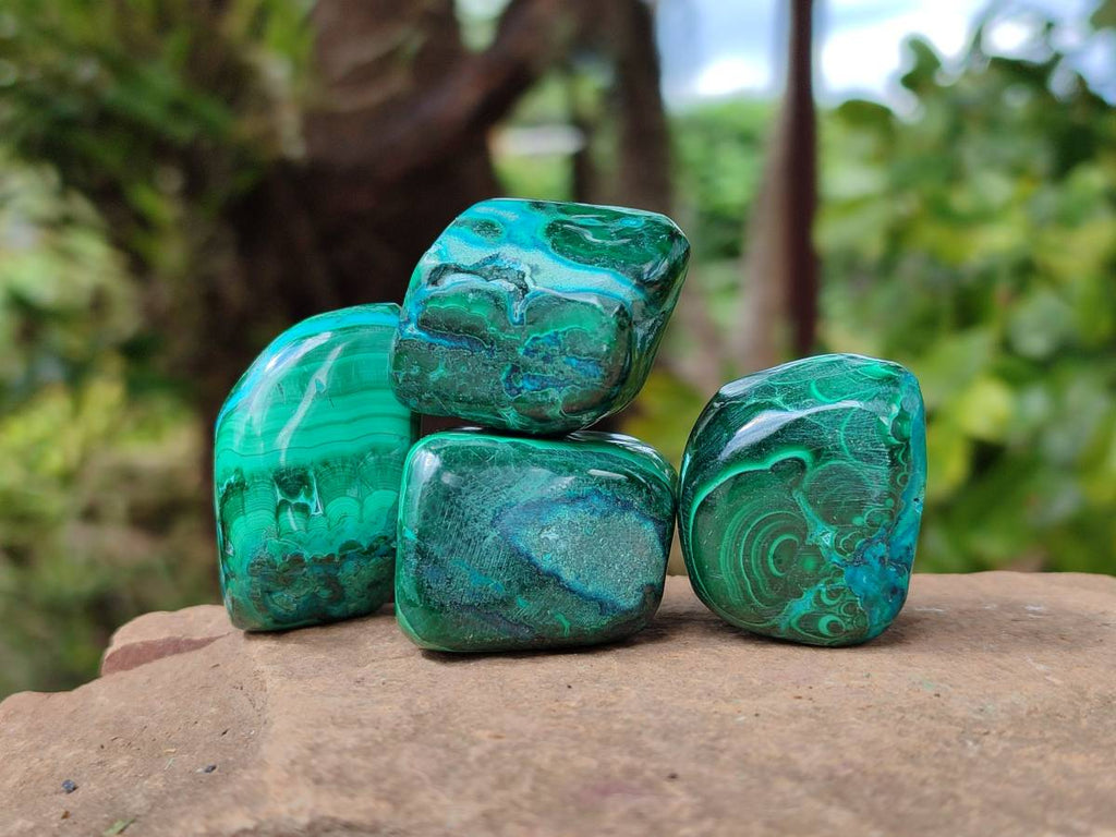 Polished Malacolla Free Forms x 35 From Kulukuluku, Congo - Toprock Gemstones and Minerals 