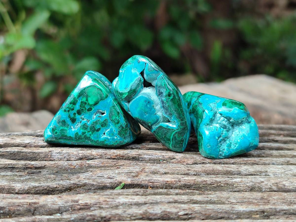 Polished Malacolla Free Forms x 35 From Kulukuluku, Congo - Toprock Gemstones and Minerals 