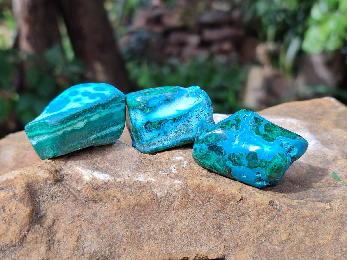 Polished Malacolla Free Forms x 35 From Kulukuluku, Congo - Toprock Gemstones and Minerals 