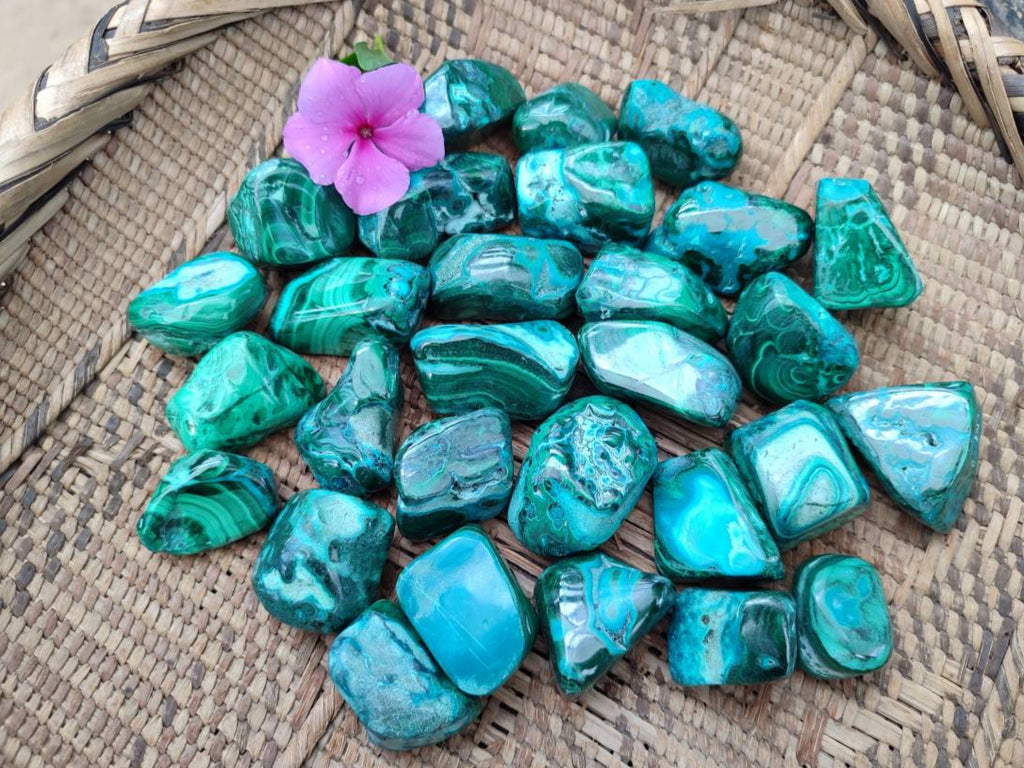 Polished Malacolla Free Forms x 35 From Kulukuluku, Congo - Toprock Gemstones and Minerals 