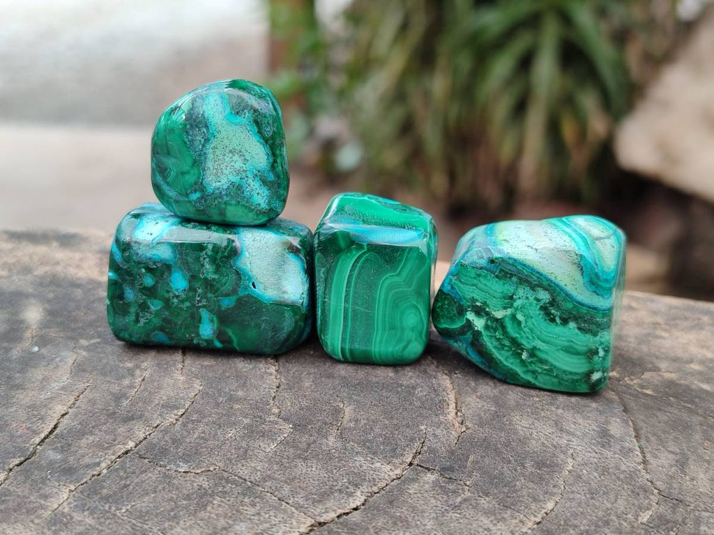 Polished Malacolla Free Forms x 35 From Kulukuluku, Congo - Toprock Gemstones and Minerals 