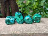 Polished Malacolla Free Forms x 35 From Kulukuluku, Congo - Toprock Gemstones and Minerals 