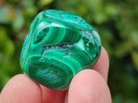 Polished Malacolla Free Forms x 35 From Kulukuluku, Congo - Toprock Gemstones and Minerals 