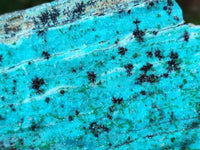Natural Drusy Coated Chrysocolla With Malachite Specimens x 3 From Lupoto Mine, Congo