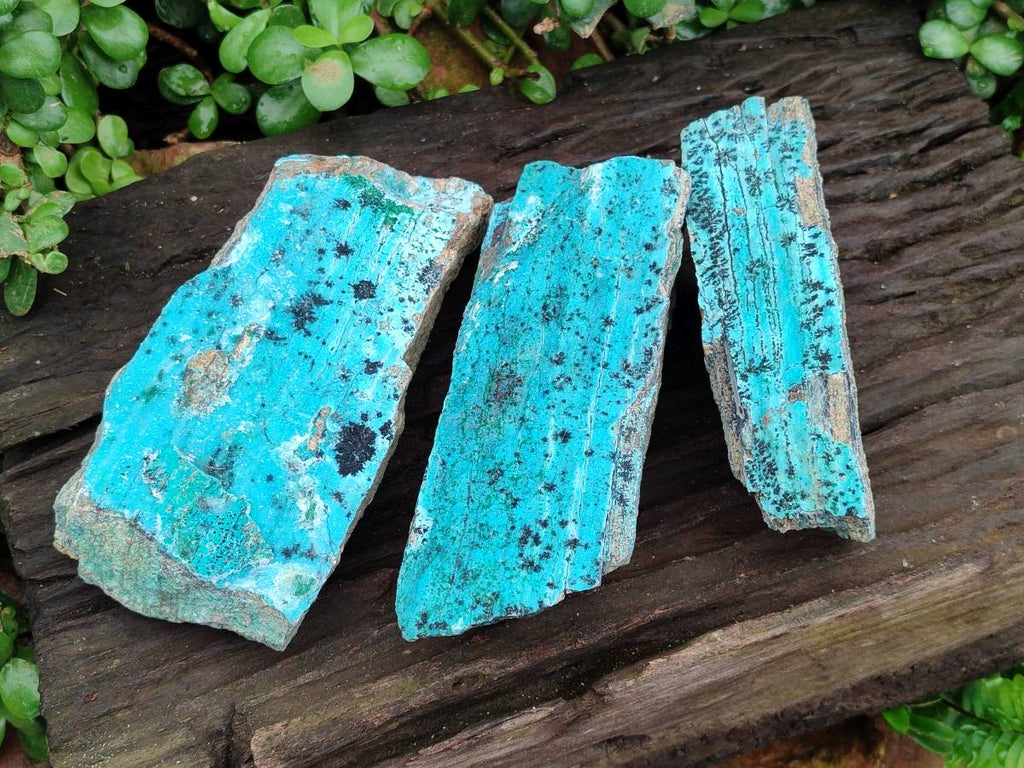 Natural Drusy Coated Chrysocolla With Malachite Specimens x 3 From Lupoto Mine, Congo - Toprock Gemstones and Minerals 