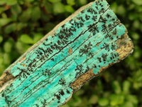 Natural Drusy Coated Chrysocolla With Malachite Specimens x 3 From Lupoto Mine, Congo