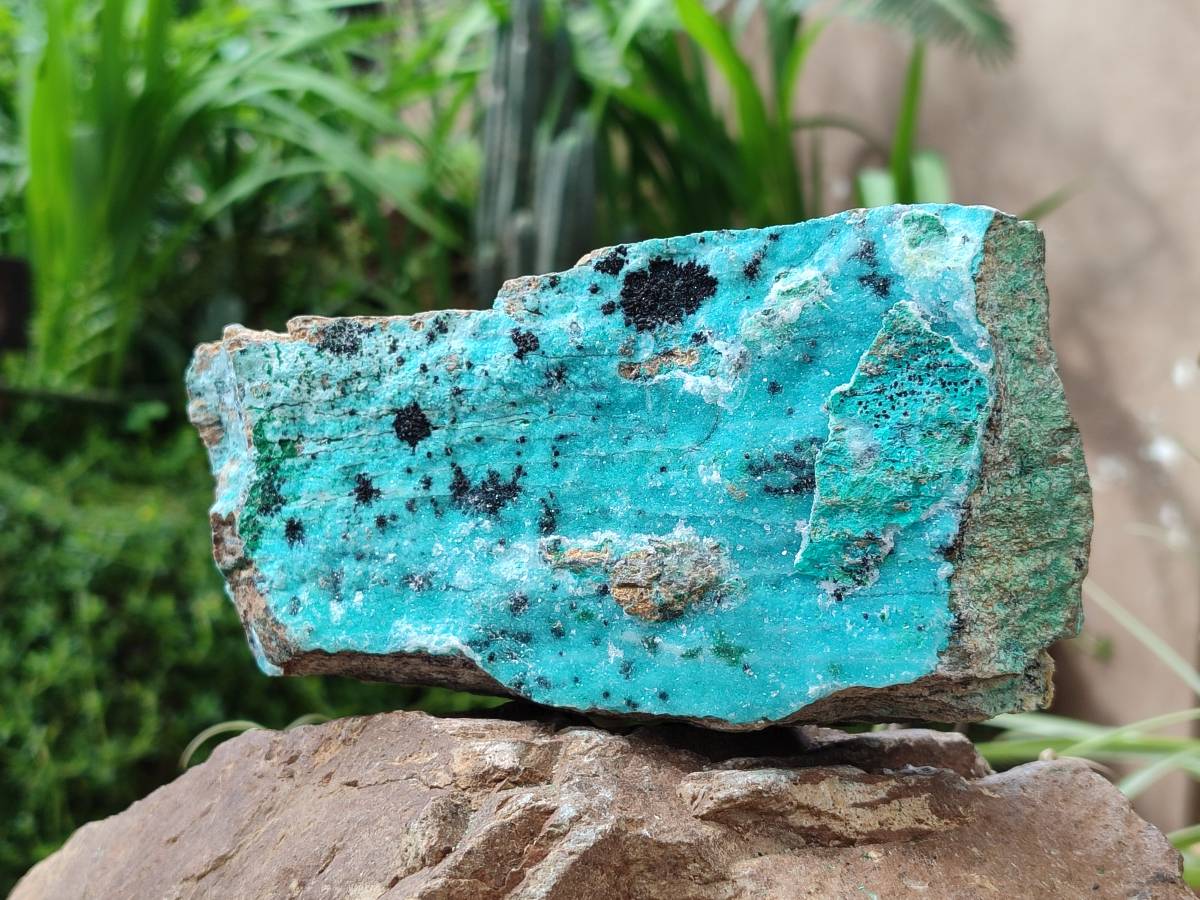 Natural Drusy Coated Chrysocolla With Malachite Specimens x 3 From Lupoto Mine, Congo - Toprock Gemstones and Minerals 