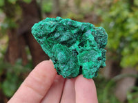 Natural Silky Malachite Specimens x 12 From Kasompe, Congo