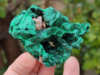 Natural Silky Malachite Specimens x 12 From Kasompe, Congo - Toprock Gemstones and Minerals 