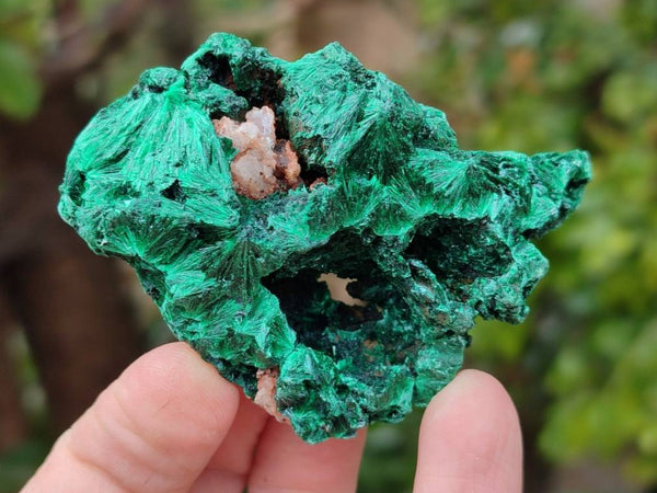 Natural Silky Malachite Specimens x 12 From Kasompe, Congo