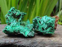 Natural Silky Malachite Specimens x 12 From Kasompe, Congo