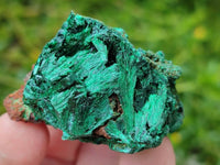 Natural Silky Malachite Specimens x 12 From Kasompe, Congo