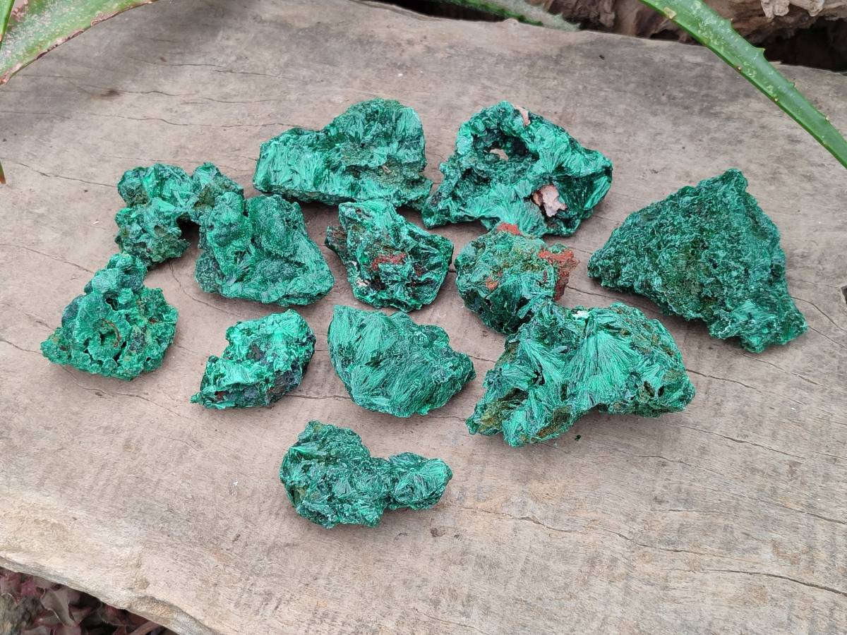 Natural Silky Malachite Specimens x 12 From Kasompe, Congo - Toprock Gemstones and Minerals 