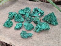 Natural Silky Malachite Specimens x 12 From Kasompe, Congo