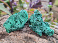Natural Silky Malachite Specimens x 12 From Kasompe, Congo
