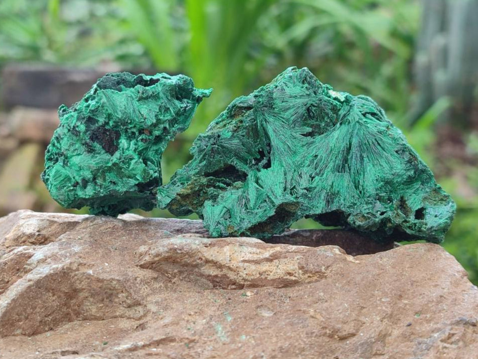 Natural Silky Malachite Specimens x 12 From Kasompe, Congo - Toprock Gemstones and Minerals 