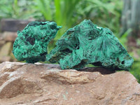 Natural Silky Malachite Specimens x 12 From Kasompe, Congo