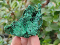 Natural Silky Malachite Specimens x 12 From Kasompe, Congo