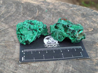Natural Silky Malachite Specimens x 12 From Kasompe, Congo