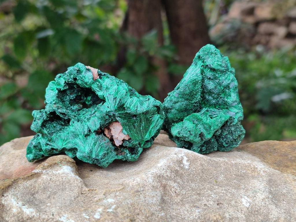 Natural Silky Malachite Specimens x 12 From Kasompe, Congo - Toprock Gemstones and Minerals 