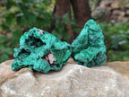 Natural Silky Malachite Specimens x 12 From Kasompe, Congo - Toprock Gemstones and Minerals 