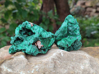 Natural Silky Malachite Specimens x 12 From Kasompe, Congo
