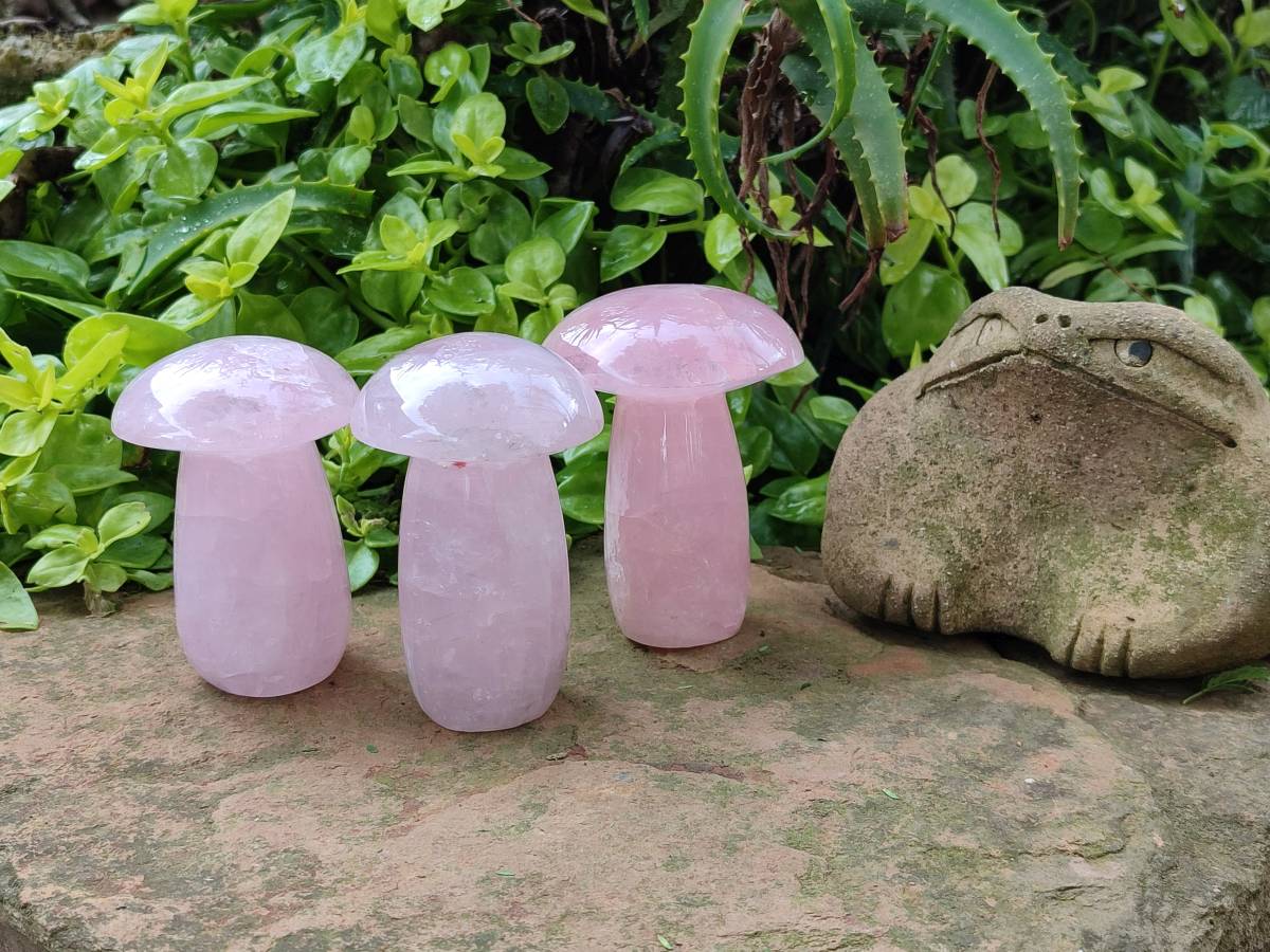 Polished Large Rose Quartz Mushrooms x 4 From Madagascar - Toprock Gemstones and Minerals 